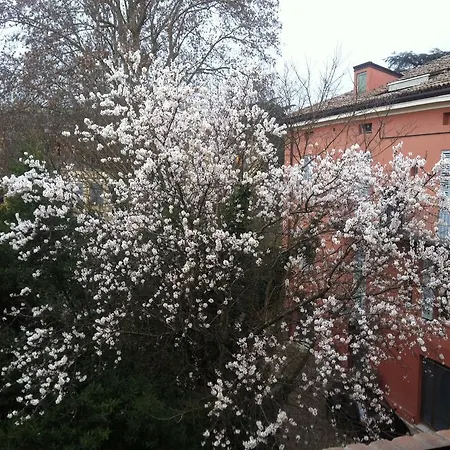 Luisa Tatil Evi Parma