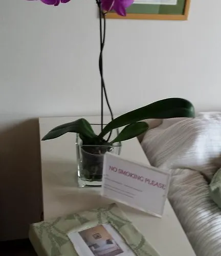 Semesterbostad Luisa